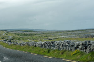 Route sinueuse qui traverse l'immense plateau calcaire du Burren, Co. Clare, Irlande
