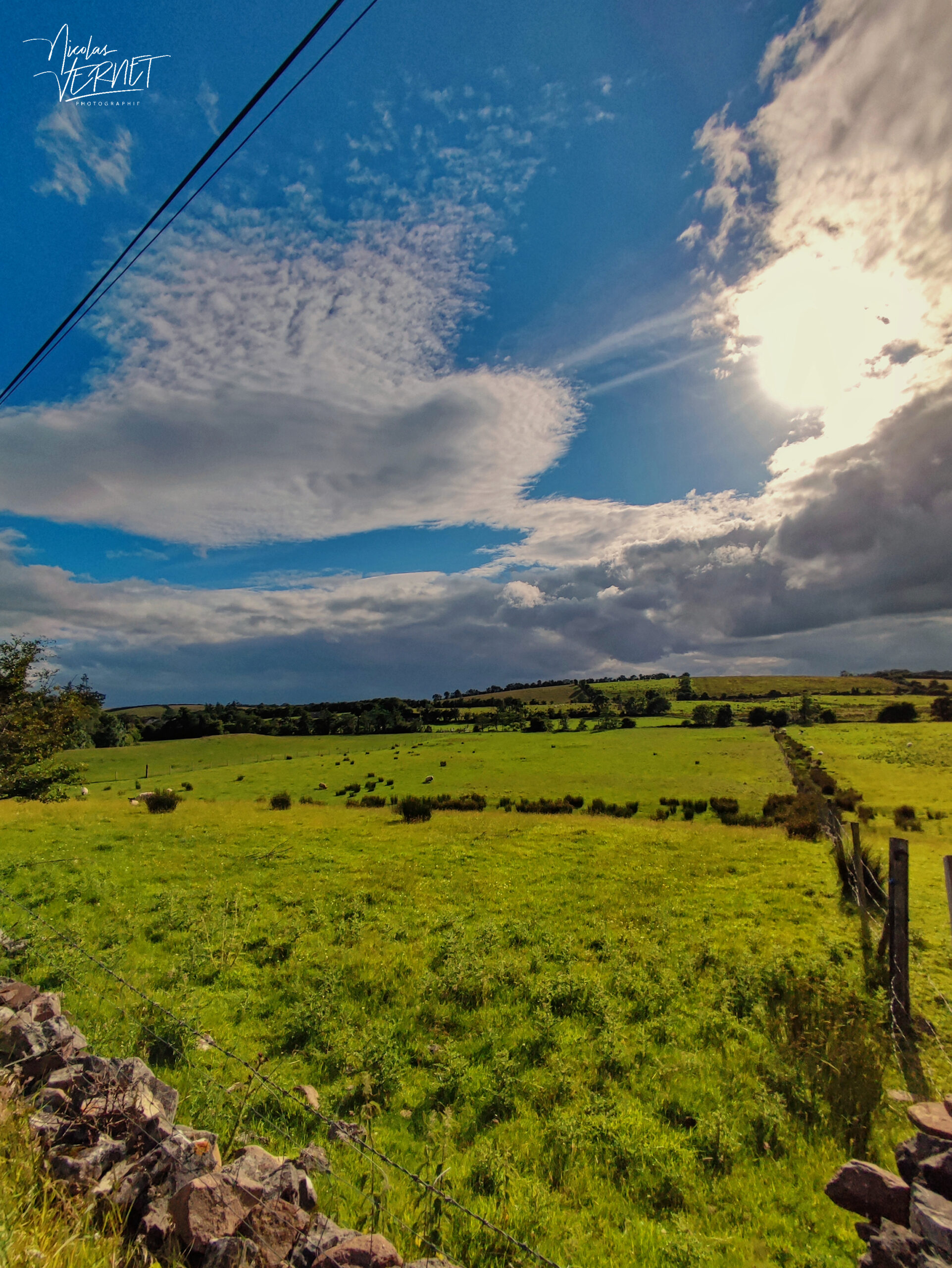 Pâturages verdoyants, Co. Longford, Irlande