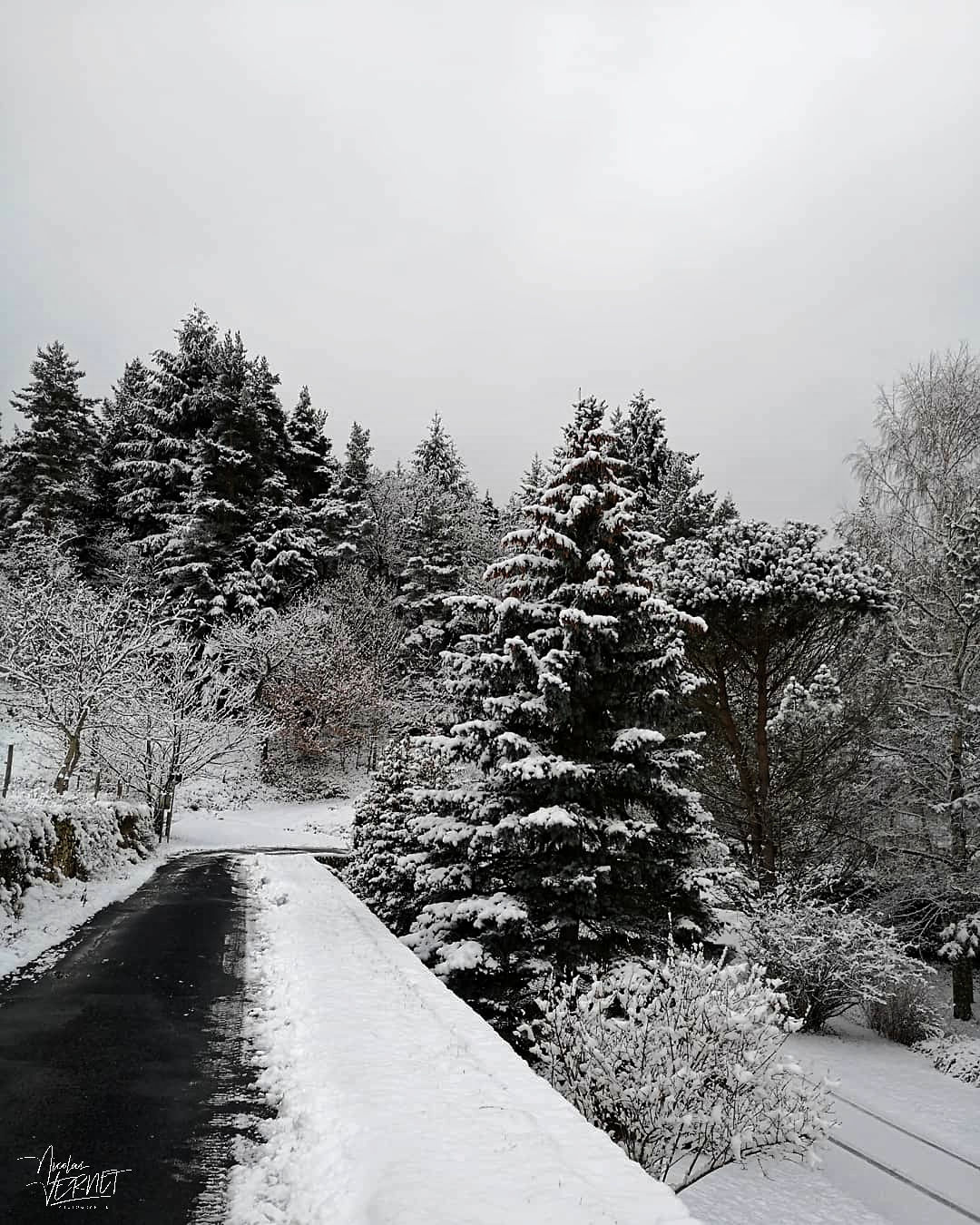 Paysage enneigé, Le Cheylard (Ardèche)