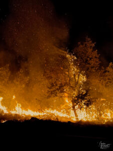 Feu de forêt la nuit, Lavilledieu (Ardèche)