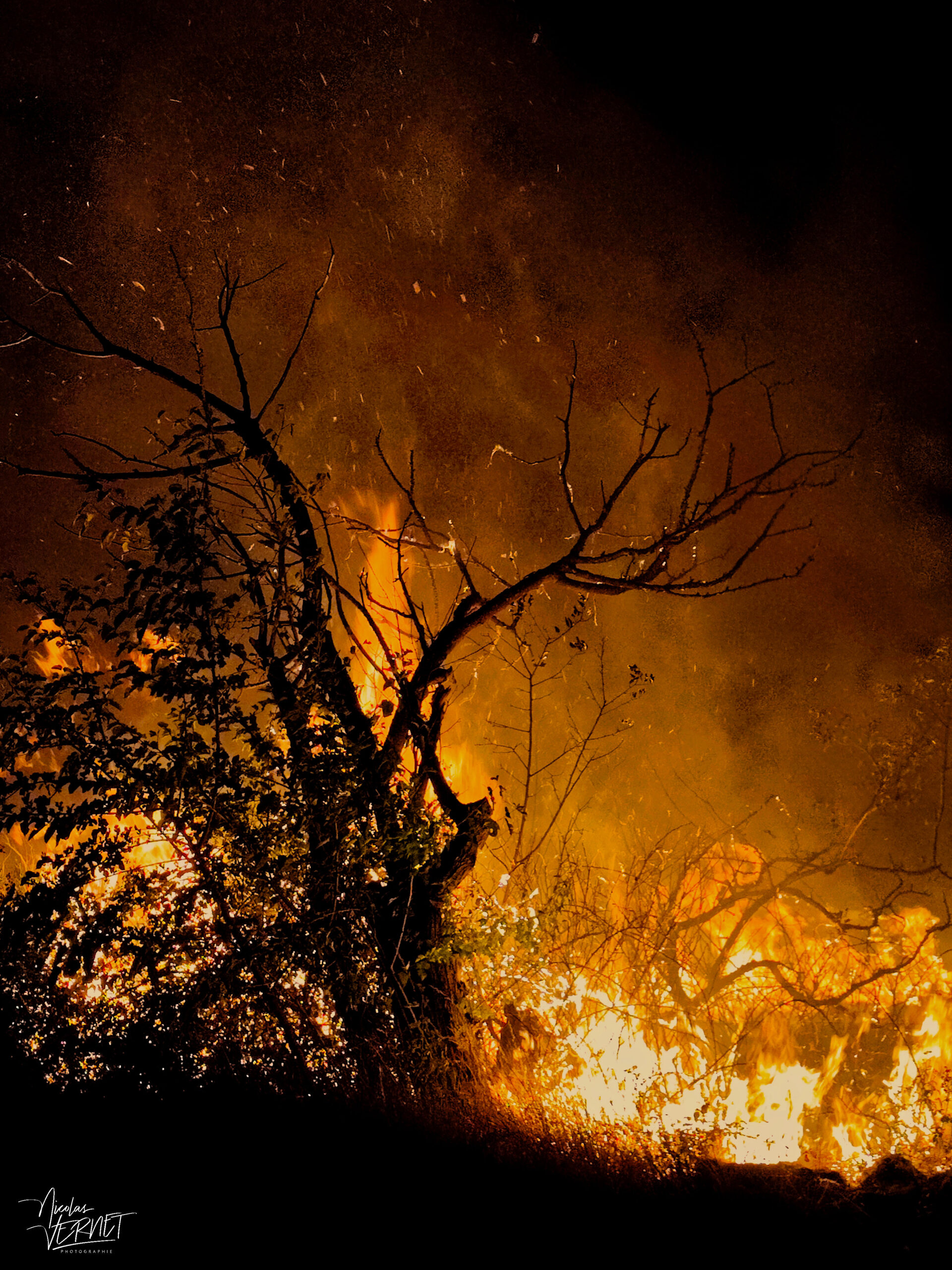 Feu de forêt la nuit, Lavilledieu (Ardèche)