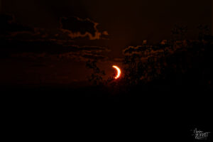 Éclipse solaire du 12 août 2026 en ombre chinoise à travers la végétation, Baix (Ardèche)