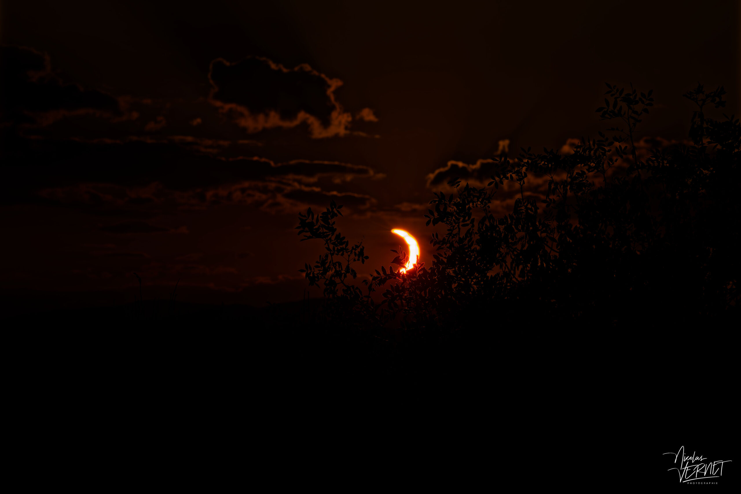 Éclipse solaire du 12 août 2026 en ombre chinoise à travers la végétation, Baix (Ardèche)